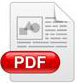 pdf icon